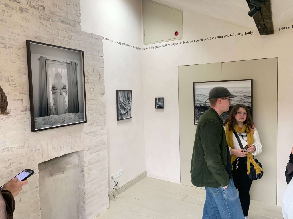 Amak's exhibition at 17 Midland Road gallery